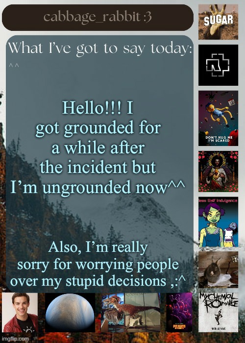I’m doing so much better now, mentally. | Hello!!! I got grounded for a while after the incident but I’m ungrounded now^^; Also, I’m really sorry for worrying people over my stupid decisions ,:^ | image tagged in cabbage_rabbit | made w/ Imgflip meme maker