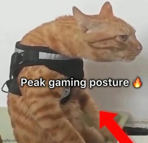 image tagged in memes,msmg,shitpost | made w/ Imgflip meme maker
