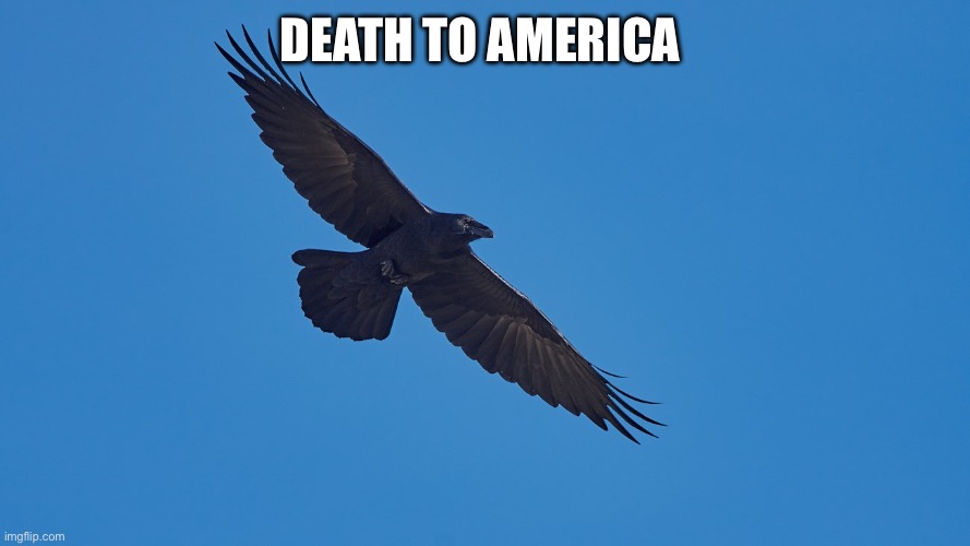Socialist freedom raven | DEATH TO AMERICA | image tagged in socialist freedom raven | made w/ Imgflip meme maker