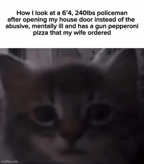 image tagged in memes,msmg,shitpost | made w/ Imgflip meme maker
