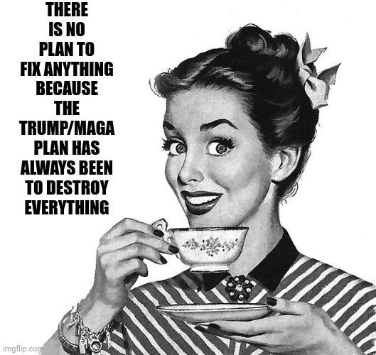 Destruction Has Always, ALWAYS, Always Been Maga's Plan.  Greed & Theft Has Always, ALWAYS, Always Been Trump's Plan | THERE IS NO PLAN TO FIX ANYTHING; BECAUSE THE TRUMP/MAGA PLAN HAS ALWAYS BEEN TO DESTROY EVERYTHING | image tagged in retro woman teacup,donald trump is a convicted rapist,trump is a convicted felon,trump's been convicted of stealing,maga,memes | made w/ Imgflip meme maker