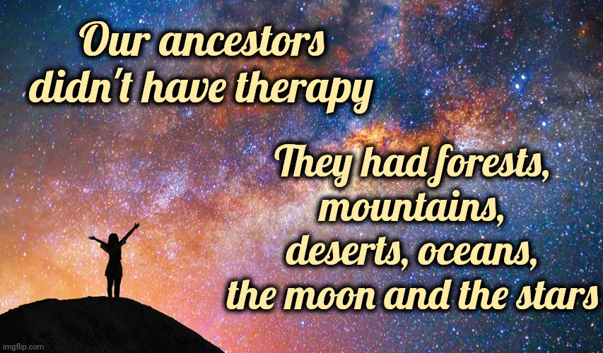 Ancestors | Our ancestors didn't have therapy; They had forests, mountains, deserts, oceans, the moon and the stars | image tagged in ancestors,ancestry,history of the world,human evolution,therapy,memes | made w/ Imgflip meme maker