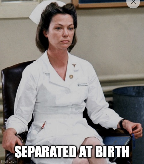 Nurse ratchet | SEPARATED AT BIRTH | image tagged in nurse ratchet | made w/ Imgflip meme maker