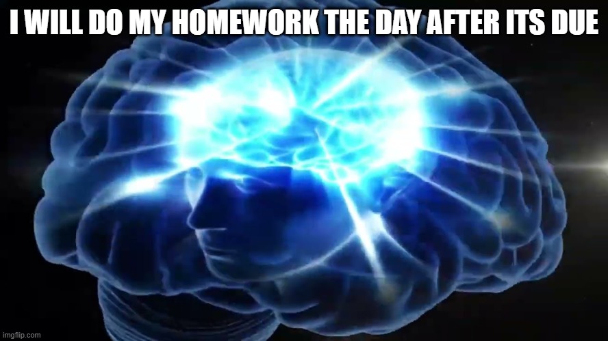 But you didn't have to cut me off | I WILL DO MY HOMEWORK THE DAY AFTER ITS DUE | image tagged in but you didn't have to cut me off | made w/ Imgflip meme maker