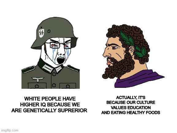 fudge you nazi | ACTUALLY, IT'S BECAUSE OUR CULTURE VALUES EDUCATION AND EATING HEALTHY FOODS; WHITE PEOPLE HAVE HIGHER IQ BECAUSE WE ARE GENETICALLY SUPRERIOR | image tagged in wojak,chad | made w/ Imgflip meme maker