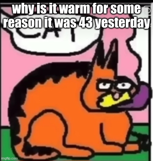 CAT | why is it warm for some reason it was 43 yesterday | image tagged in cat | made w/ Imgflip meme maker