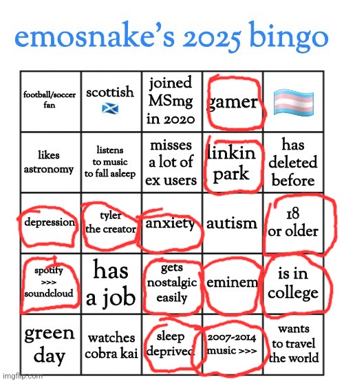 emosnek bingo | image tagged in emosnake's 2025 bingo,bingo,msmg,memes | made w/ Imgflip meme maker