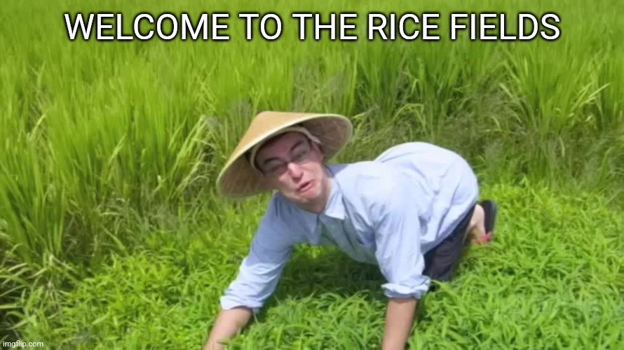 WELCOME TO THE RICE FIELDS | WELCOME TO THE RICE FIELDS | image tagged in welcome to the rice fields | made w/ Imgflip meme maker