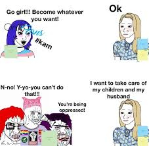 feminism epic fail | image tagged in wojak,memes,dank | made w/ Imgflip meme maker