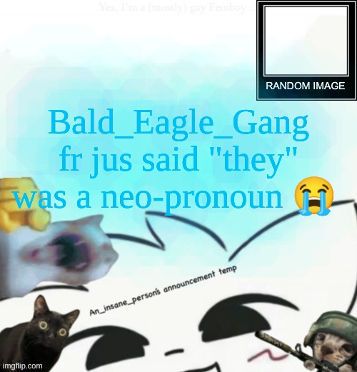 Back to third grade ELA you go mf | Bald_Eagle_Gang fr jus said "they" was a neo-pronoun 😭 | image tagged in my lil announcement | made w/ Imgflip meme maker