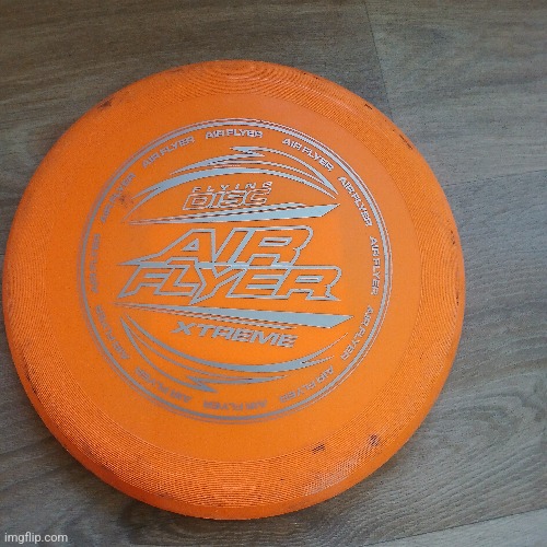 "I asked my deaf grandpa for an air fryer as a birthday gift" ahh frisbee | image tagged in frisbee,bruh | made w/ Imgflip meme maker