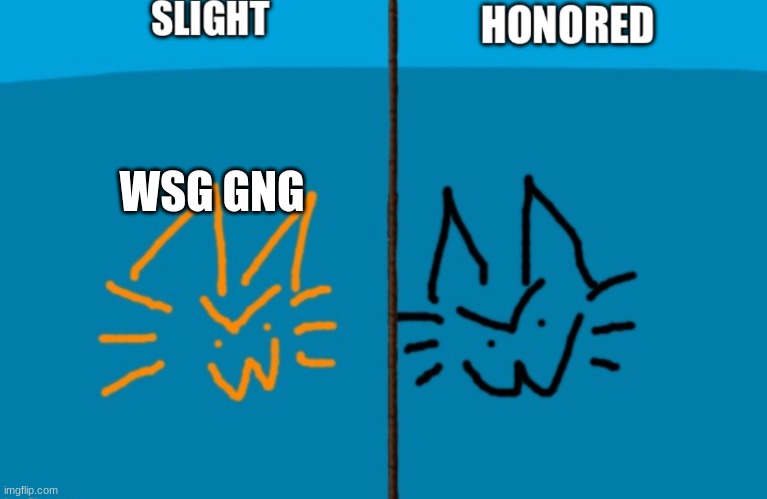 SHARED (duped for accessibility for me) | WSG GNG | image tagged in shared duped for accessibility for me | made w/ Imgflip meme maker