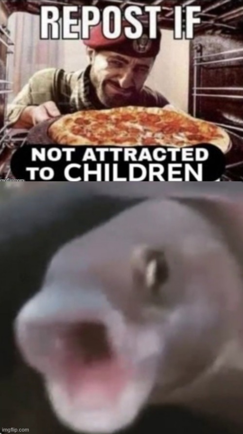 iphones are ishits | image tagged in repost if not attracted to children,poggers fish,not attracted to children,piss yourself,now | made w/ Imgflip meme maker
