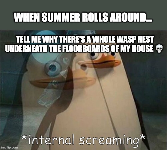 it scares the living daylights out of me | WHEN SUMMER ROLLS AROUND... TELL ME WHY THERE'S A WHOLE WASP NEST UNDERNEATH THE FLOORBOARDS OF MY HOUSE 💀 | image tagged in private internal screaming | made w/ Imgflip meme maker