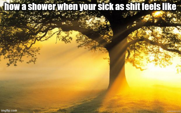 real | how a shower when your sick as shit feels like | image tagged in nature | made w/ Imgflip meme maker