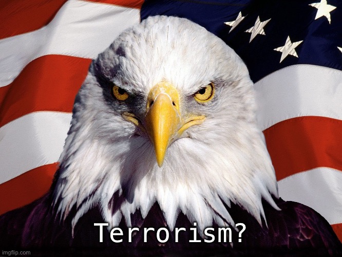 Freedom Eagle | Terrorism? | image tagged in freedom eagle | made w/ Imgflip meme maker
