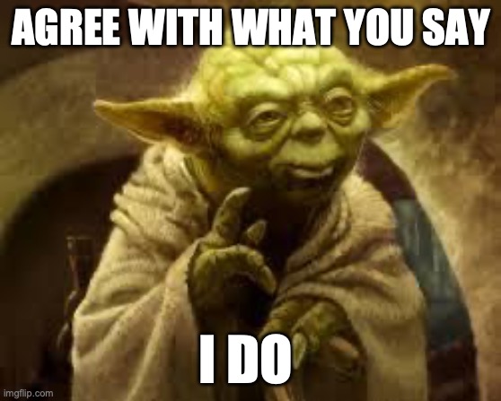 AGREE WITH WHAT YOU SAY I DO | image tagged in yoda | made w/ Imgflip meme maker