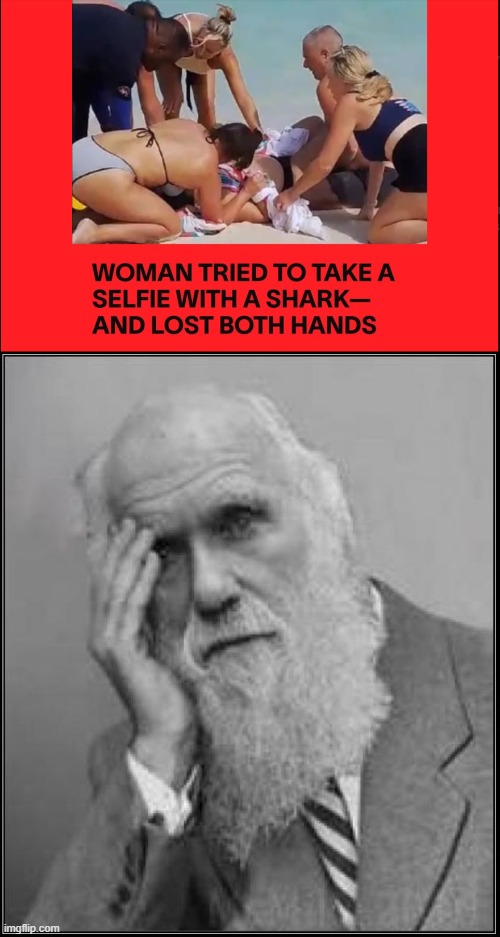 The shark did not want a selfie | image tagged in darwin facepalm,stupid people,darwin award,selfie | made w/ Imgflip meme maker
