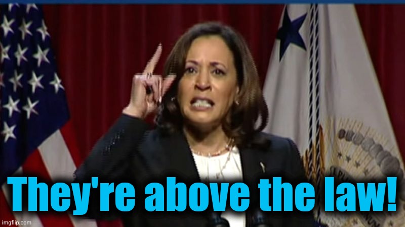 Kamala Angry | They're above the law! | image tagged in kamala angry | made w/ Imgflip meme maker