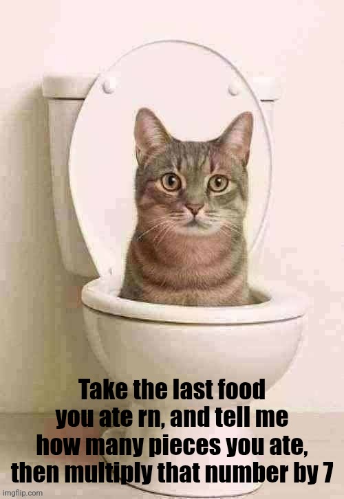 skibidi cat | Take the last food you ate rn, and tell me how many pieces you ate, then multiply that number by 7 | image tagged in skibidi cat | made w/ Imgflip meme maker