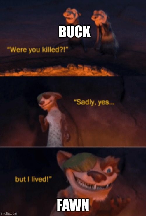 And she lived | BUCK; FAWN | image tagged in were you killed,ocs | made w/ Imgflip meme maker