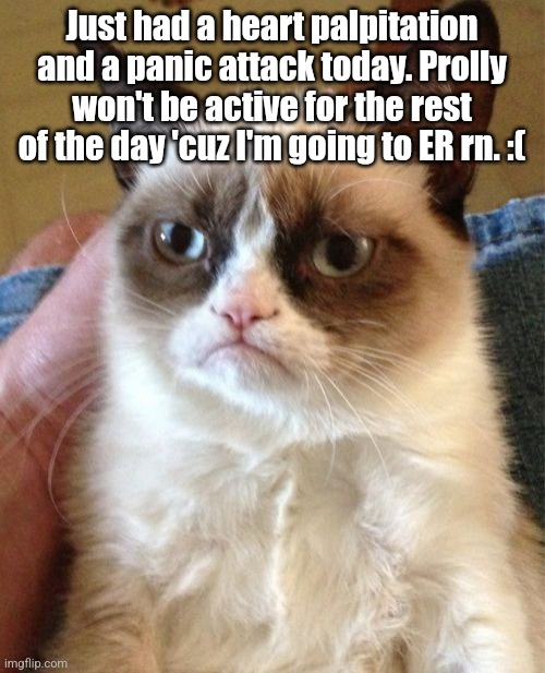 :(( | Just had a heart palpitation and a panic attack today. Prolly won't be active for the rest of the day 'cuz I'm going to ER rn. :( | image tagged in grumpy cat,not a meme,true story | made w/ Imgflip meme maker