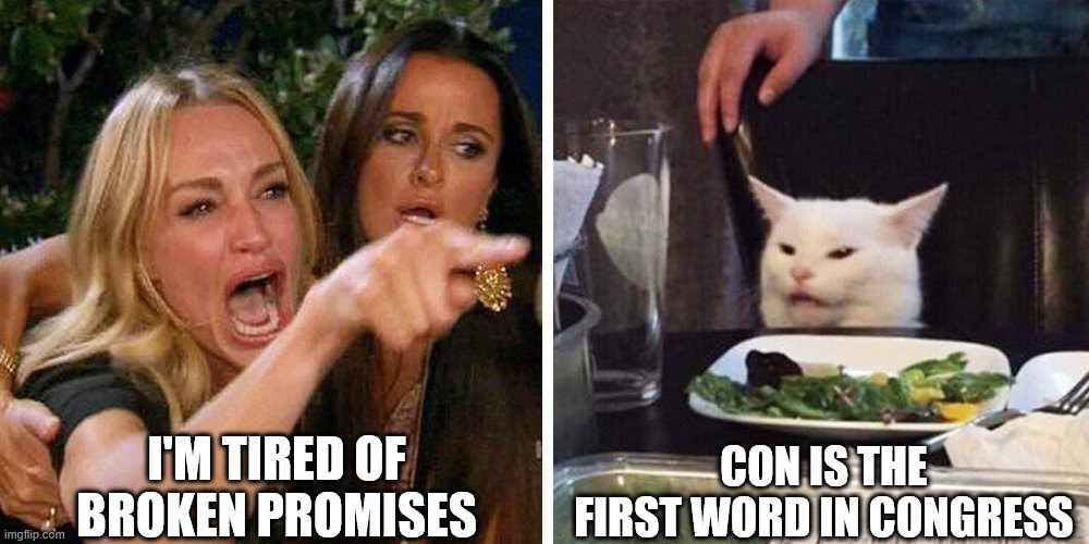 Smudge the cat | I'M TIRED OF BROKEN PROMISES; CON IS THE FIRST WORD IN CONGRESS | image tagged in smudge the cat | made w/ Imgflip meme maker