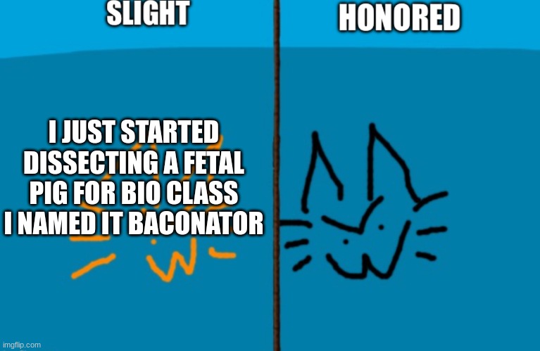 baconator the unborn pig | I JUST STARTED DISSECTING A FETAL PIG FOR BIO CLASS
I NAMED IT BACONATOR | image tagged in shared duped for accessibility for me | made w/ Imgflip meme maker