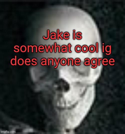 Skull | Jake is somewhat cool ig does anyone agree | image tagged in skull | made w/ Imgflip meme maker