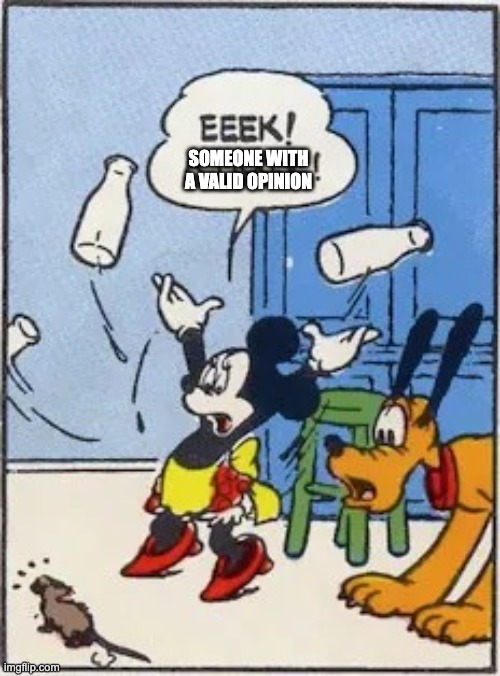 x (twitter) in a nutshell | SOMEONE WITH A VALID OPINION | image tagged in eek a mouse | made w/ Imgflip meme maker