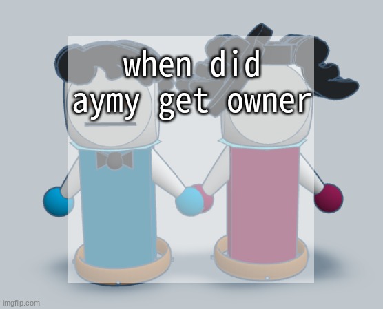 The Announcement Template | when did aymy get owner | image tagged in the announcement template | made w/ Imgflip meme maker