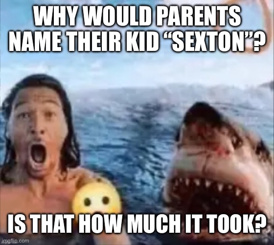 Shark | WHY WOULD PARENTS NAME THEIR KID “SEXTON”? IS THAT HOW MUCH IT TOOK? | image tagged in shark | made w/ Imgflip meme maker