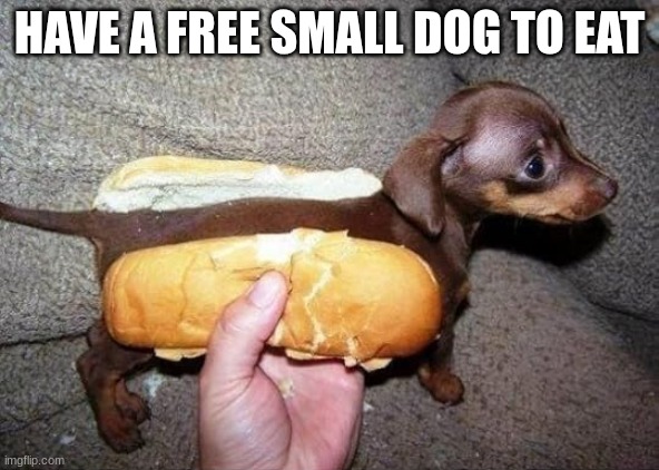 HAVE A FREE SMALL DOG TO EAT | made w/ Imgflip meme maker