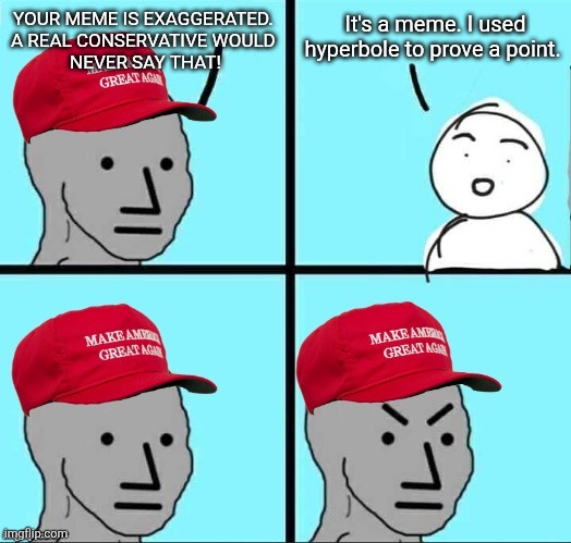 It's either that or the leftist wall of text. Take your pick. | It's a meme. I used hyperbole to prove a point. YOUR MEME IS EXAGGERATED. 
A REAL CONSERVATIVE WOULD 
NEVER SAY THAT! | image tagged in maga npc an an0nym0us template | made w/ Imgflip meme maker