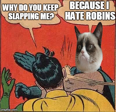Grumpy Cat Slapping Robin | WHY DO YOU KEEP SLAPPING ME? BECAUSE I HATE ROBINS | image tagged in memes,grumpy cat slapping robin | made w/ Imgflip meme maker