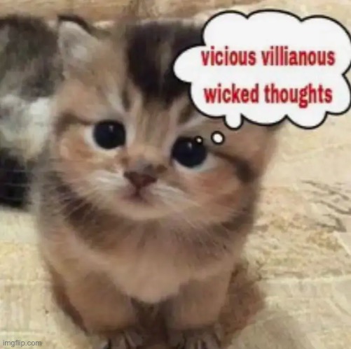 image tagged in evil | made w/ Imgflip meme maker