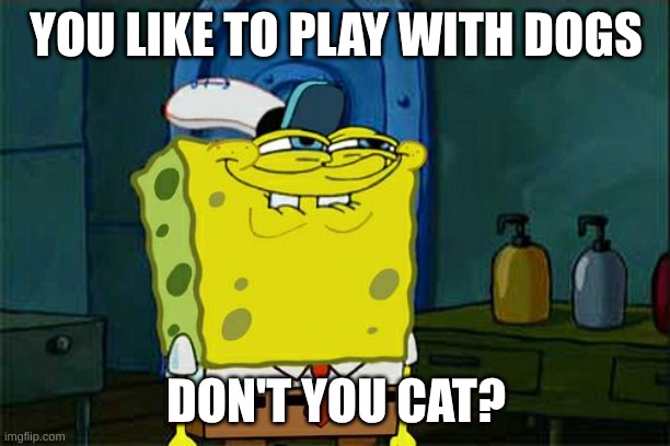 Don't You Squidward Meme | YOU LIKE TO PLAY WITH DOGS DON'T YOU CAT? | image tagged in memes,don't you squidward | made w/ Imgflip meme maker