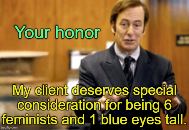 . | Your honor; My client deserves special consideration for being 6 feminists and 1 blue eyes tall. | image tagged in saul goodman defending | made w/ Imgflip meme maker