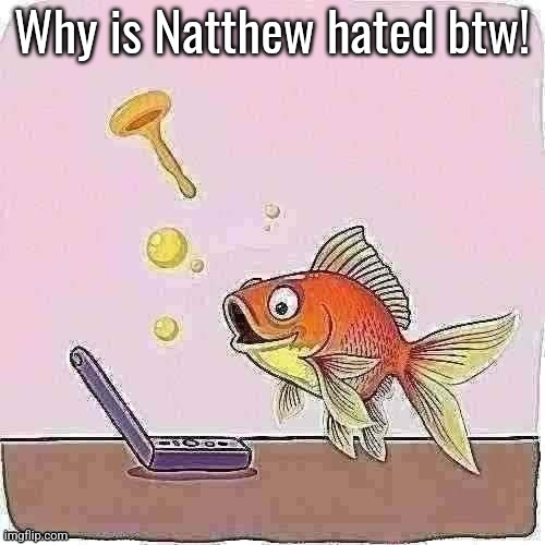 Goldfish cheering at flip phone | Why is Natthew hated btw! | image tagged in goldfish cheering at flip phone | made w/ Imgflip meme maker