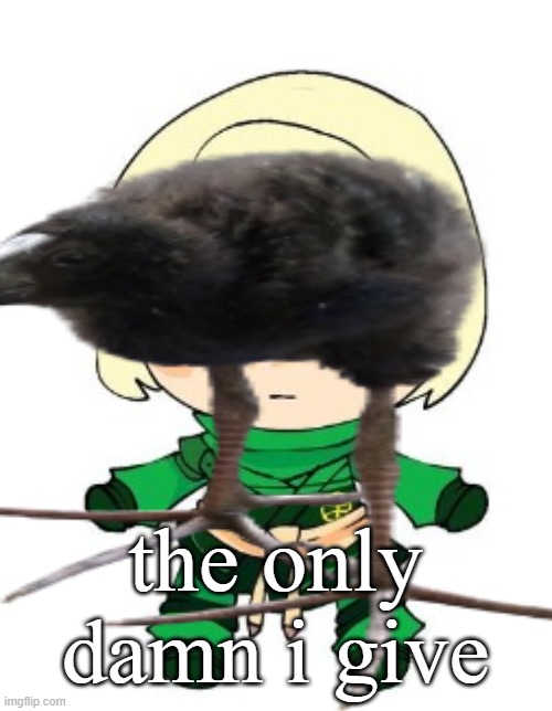 lloyd fumo | the only damn i give | image tagged in lloyd fumo | made w/ Imgflip meme maker