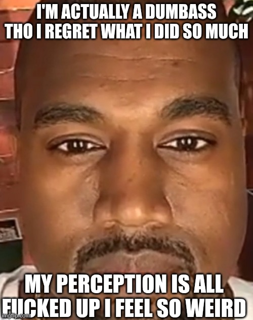 Kanye West Stare | I'M ACTUALLY A DUMBASS THO I REGRET WHAT I DID SO MUCH; MY PERCEPTION IS ALL FUCKED UP I FEEL SO WEIRD | image tagged in kanye west stare | made w/ Imgflip meme maker