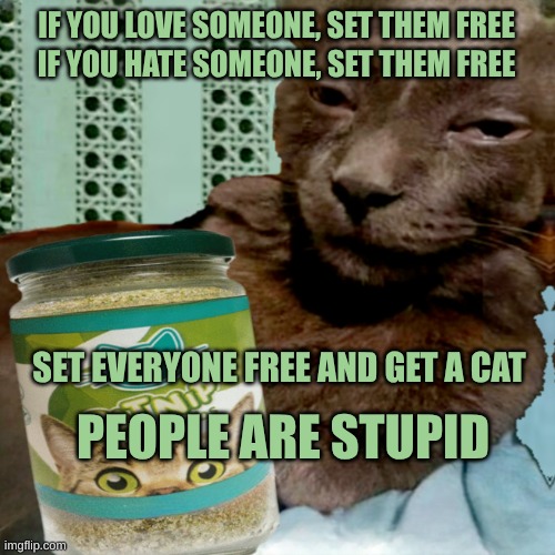 People Are Stupid | IF YOU LOVE SOMEONE, SET THEM FREE; IF YOU HATE SOMEONE, SET THEM FREE; SET EVERYONE FREE AND GET A CAT; PEOPLE ARE STUPID | image tagged in shit poster 4 lyfe,stupid people,stupidity,special kind of stupid,get a cat,cars are better | made w/ Imgflip meme maker
