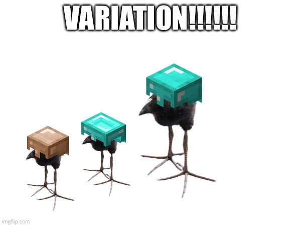 VARIATION!!!!!! | made w/ Imgflip meme maker