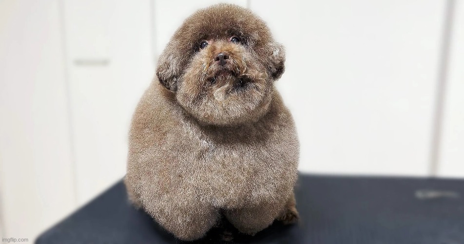 im going to strangle 17 innocent kids | made w/ Imgflip meme maker