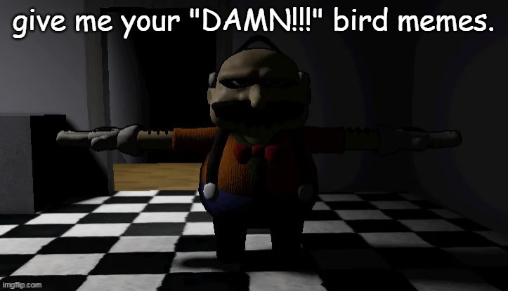 Homeowner T pose | give me your "DAMN!!!" bird memes. | image tagged in homeowner t pose | made w/ Imgflip meme maker
