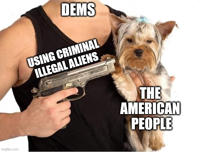Most Americans do not buy these being peaceful family men | DEMS USING CRIMINAL ILLEGAL ALIENS THE 
AMERICAN 
PEOPLE | image tagged in dog hostage | made w/ Imgflip meme maker