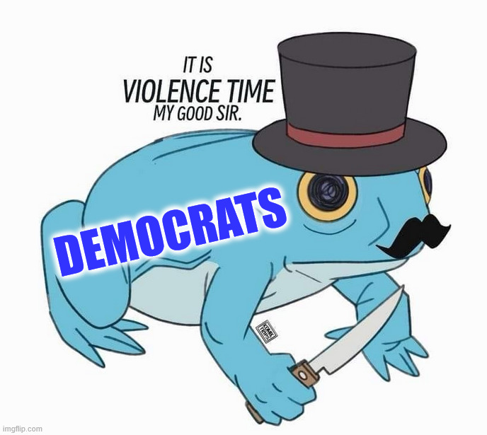 Democrats calling for summer violence | DEMOCRATS | image tagged in politics,violence is never the answer | made w/ Imgflip meme maker