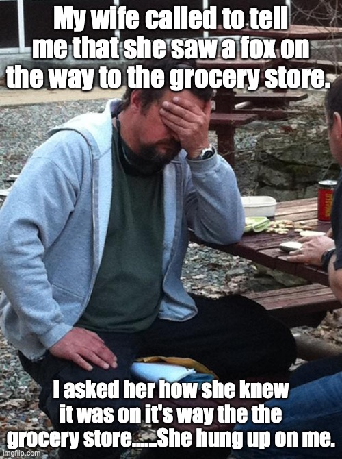 Headache Phone Call | My wife called to tell me that she saw a fox on the way to the grocery store. I asked her how she knew it was on it's way the the grocery store......She hung up on me. | image tagged in headache phone call | made w/ Imgflip meme maker