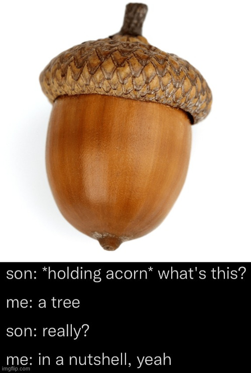 Trees | image tagged in alabama oak tree | made w/ Imgflip meme maker