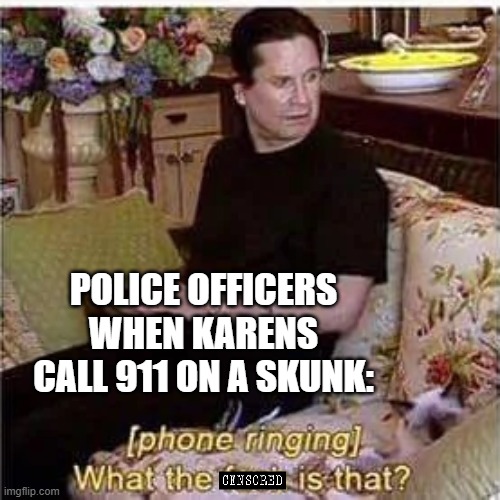 mentally insane | POLICE OFFICERS WHEN KARENS CALL 911 ON A SKUNK: | image tagged in karens,ozzy osbourne | made w/ Imgflip meme maker